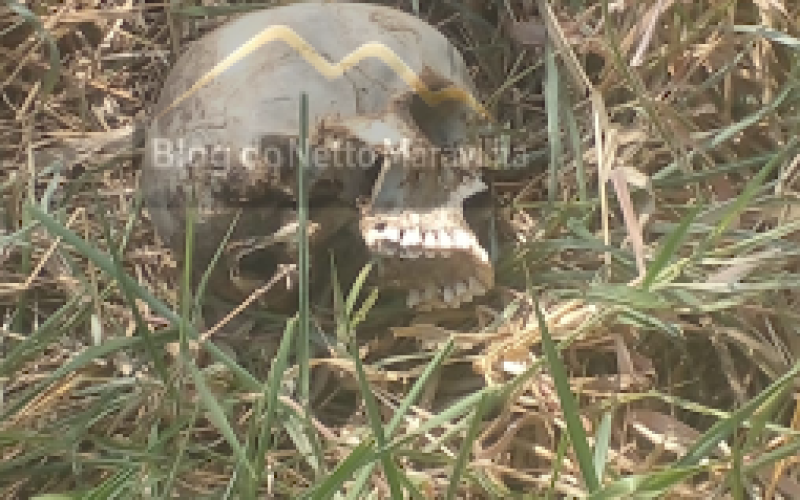 Adolescentes encontram crânio humano entre COHAB Cidade Nova 3 e Lagoa Grande em Senhor do Bonfim